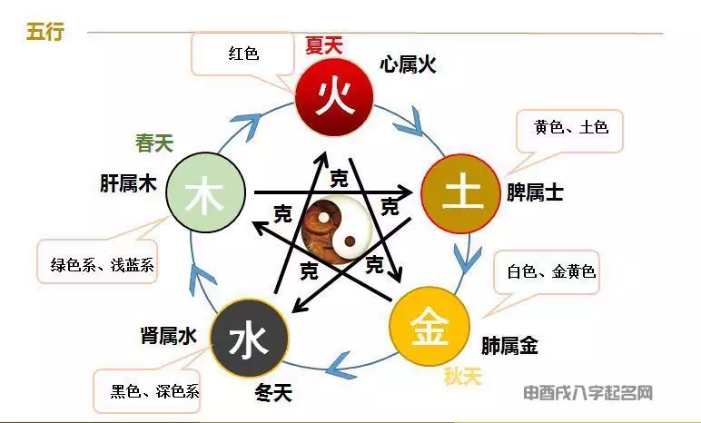宜五行属性是什么:性张道字辈五行缺木名改栩多少分?