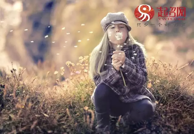 987年屬兔火命名字大全，1987年屬兔取名"