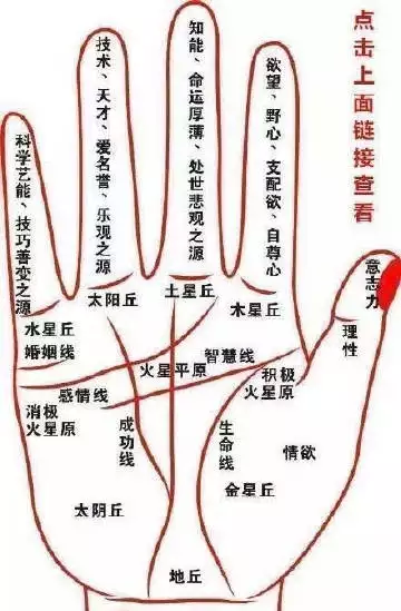 4、免費人工智能測手相:免費人工智能測手相