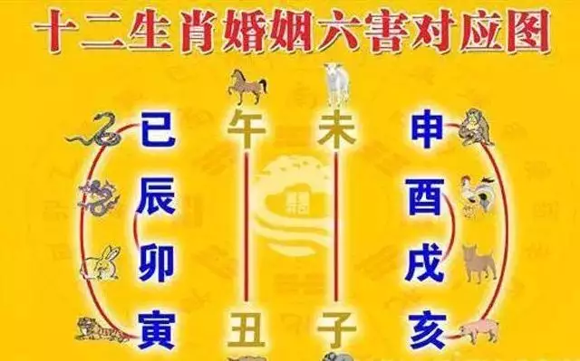 1、生肖之间相刑是什么意思:生肖鸡相刑怎么化解