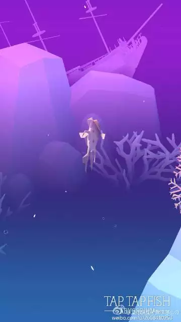 我的五行缺什么：我五行缺什么？