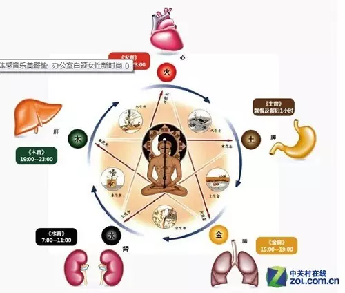 五行和五脏的关系：五脏六腑的相互的关系 和五行的关系 它们的联系