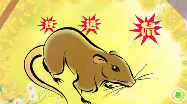 2、96屬鼠女的和什麼屬相最配對:96年女生屬鼠的和什麼屬相最配