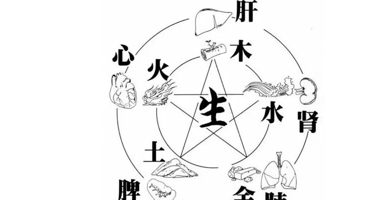五行缺水养鱼
