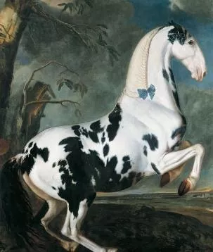 2、屬馬人的壽命預測:屬馬災難年齡