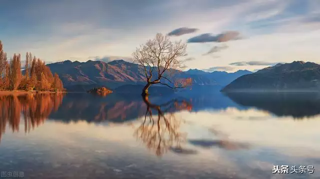 属兔的今年多大岁数，属马的今年多大岁数