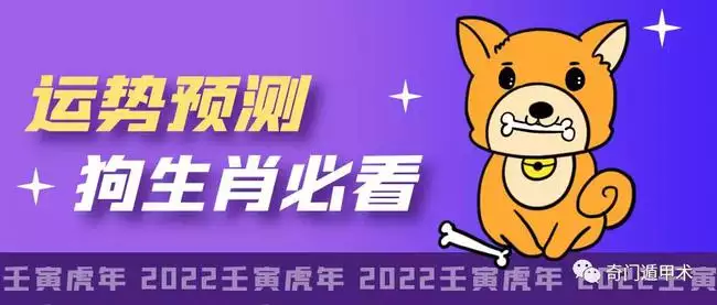 屬狗今年多大年紀2022，兔子今年多大年紀