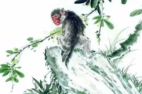 什麼屬相最旺屬豬的人，83年豬一生有二婚