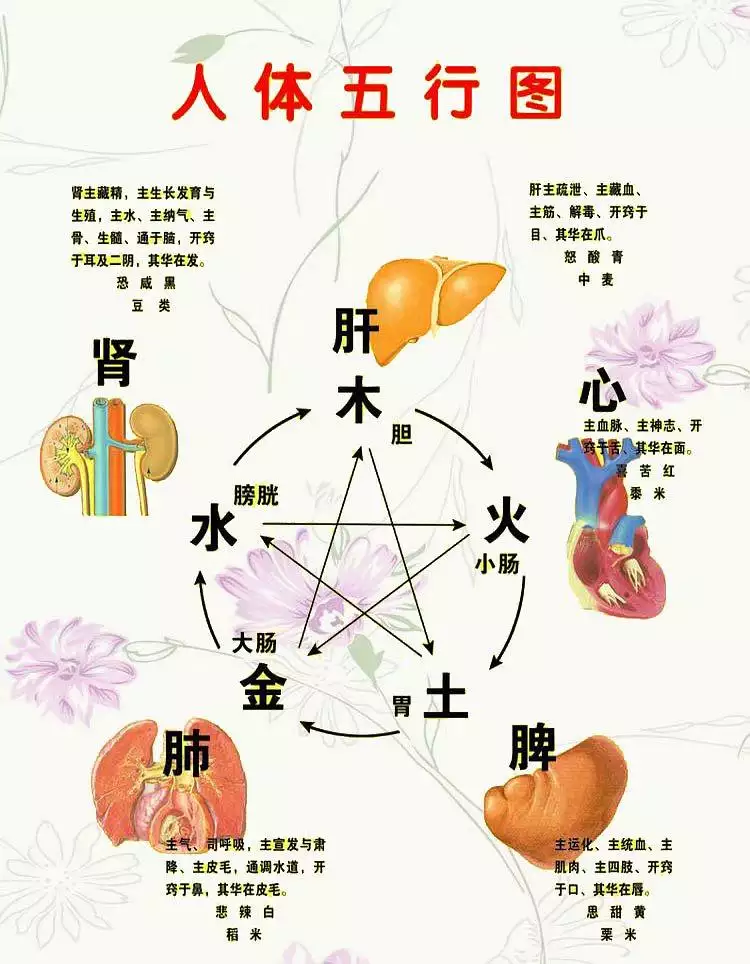 五行怎么化解