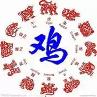 3、今年是什么属相:今年是什么属相