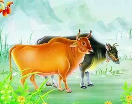 屬牛最不配的屬相,屬牛的人跟屬龍的人配不配