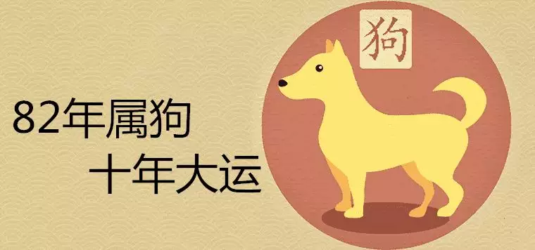 2、猴年属狗女的运势:年属狗人的全年运势女性