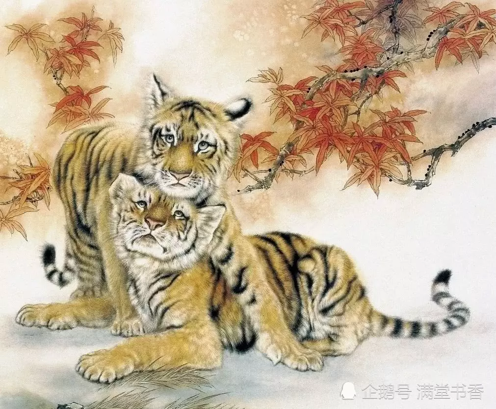 4、属相猴在猪年好还是在虎好:属相虎与猴是不是相冲