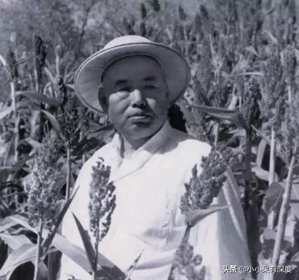 屬蛇人一輩子的婚姻，屬蛇的幾月女人命好