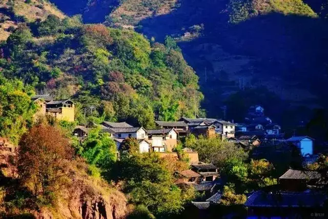 022年壬寅年大利八卦图，易经预测2022壬寅年"