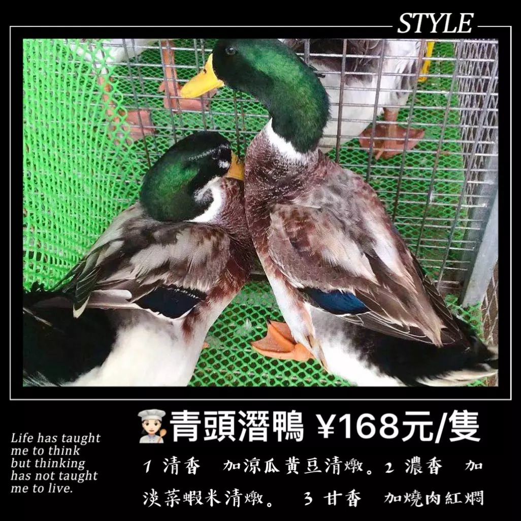 1、香烧完后形状图解整谮:烧香香灰形状图解