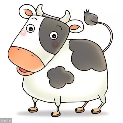 7、二十岁生肖属相是属什么:20岁的人属什么?