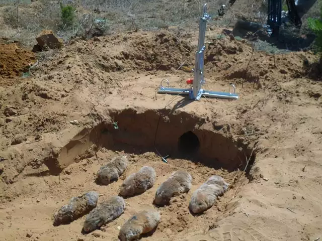 生肖羊的剋星是什麼生肖，屬羊一生的貴人和剋星