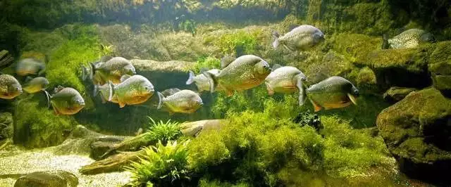 022年水虎命取名字，2022虎宝宝起名字"