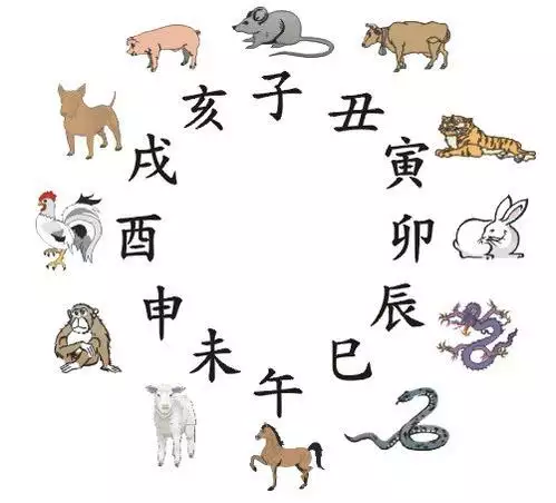 属虎跟什么属相不合：属虎和什么属相相冲?