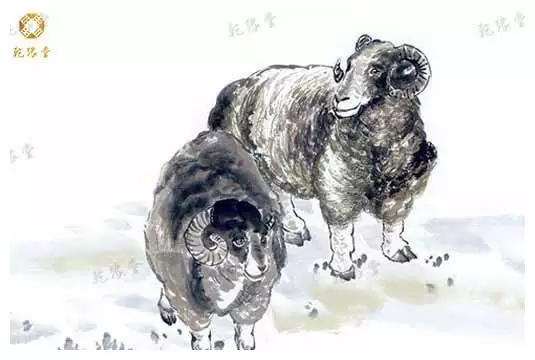 3、羊跟什麼屬相衝:屬羊的老人去世了，和什麼屬相相衝？