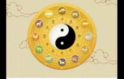 2、免費夫妻八字配對:生辰八字免費合婚-算命婚姻-在線八字配對-算卦指迷算命婚姻占卜