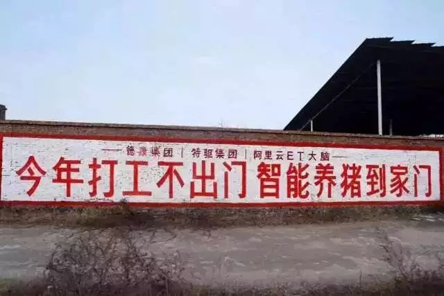 屬豬有哪幾年出生，1971年屬豬2022 年運勢