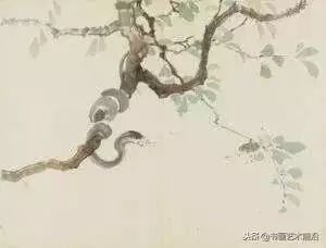 屬蛇的今年財運如何，屬蛇人今年的運氣財運