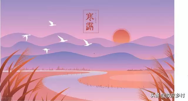 022年不生几月虎，2022年虎年生子不宜几月"