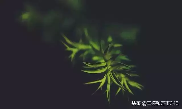 1年的羊一生有幾大劫，91屬羊人30歲以後的命運"