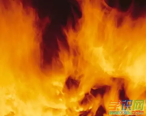 五行喜火的字女孩用：五行属火和木的女孩有哪些名字？