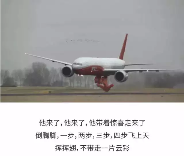 屬虎的方位在哪裡好，屬虎的人的吉利方位