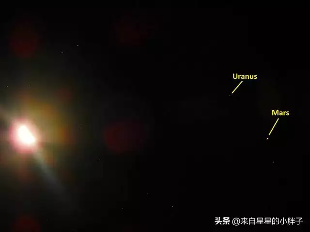 022年2月22日百年一遇,2022年是金虎命"