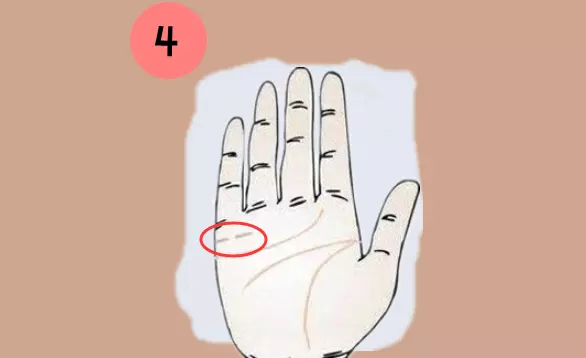 2、姻緣線是哪條:感情線是哪一條？婚姻線又是哪一條呀？