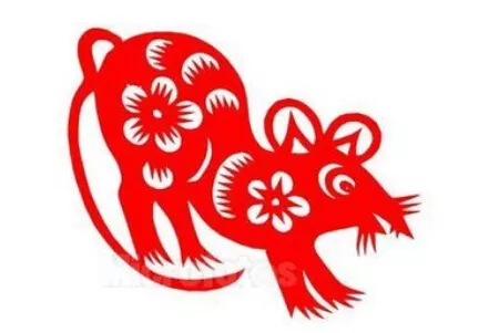 2、年屬鼠女一生有幾個孩子:84年屬鼠女的劫數