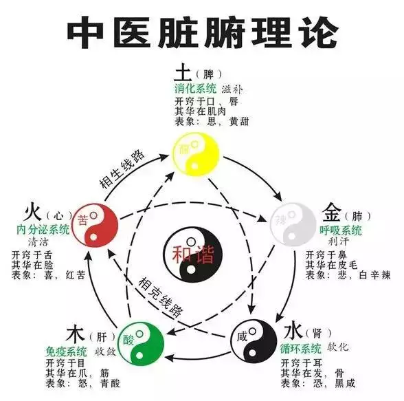心五行属什么的
