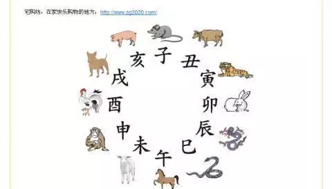 2、五行属相及生肖属相年份对照表:生肖属相表年份