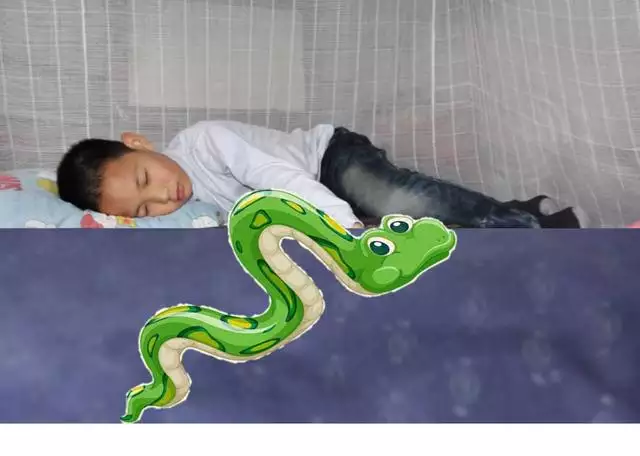 鼠和蛇父子好不好,蛇爸生鼠寶寶好不好