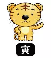 十年運勢曲線圖，大運曲線圖免費測試