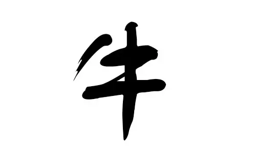 袁姓宝宝取名字大全集：男孩姓袁单字名字大全