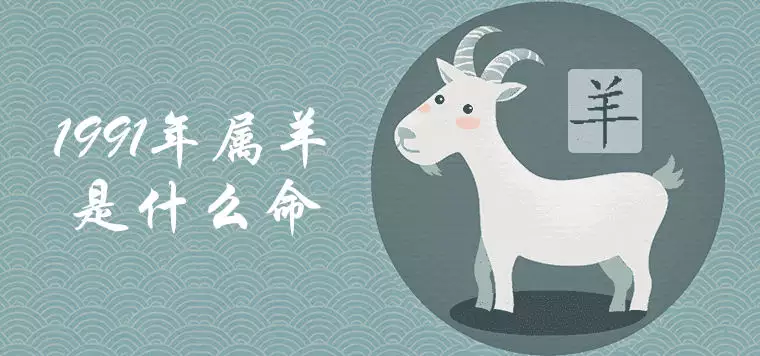 2、年屬羊是什麼命:91年屬羊的是什麼命
