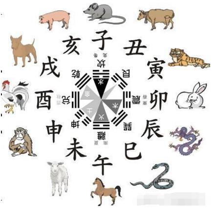 3、虎和龍屬相合不合婚姻:屬虎男生和屬龍女生婚姻配嗎