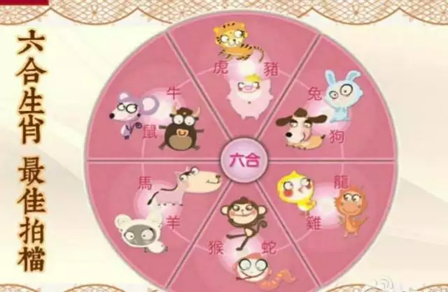屬猴41歲大難，屬猴今年41歲是什麼命