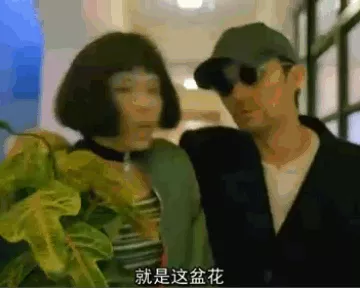 兩個91的羊相配是絕命婚，1991年女羊與1991男羊