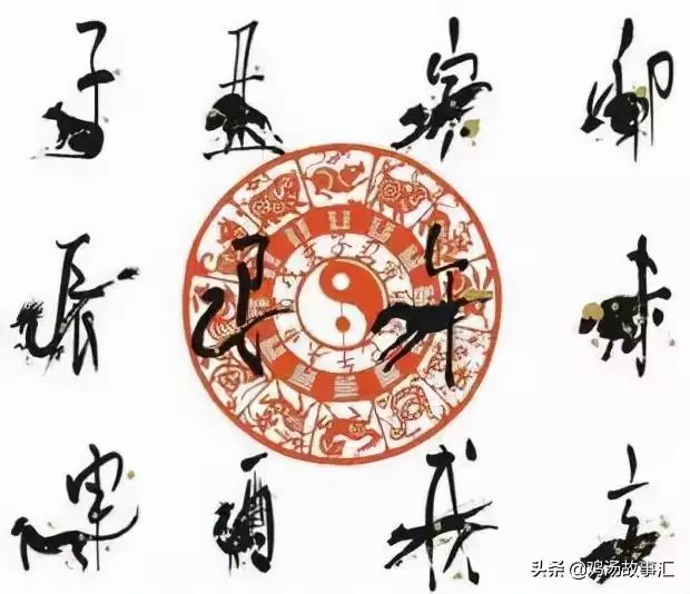 易經與十二生肖，易經十二生肖人生預測