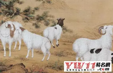 屬羊的幾點出生更好命，屬雞的啥時辰出生更好