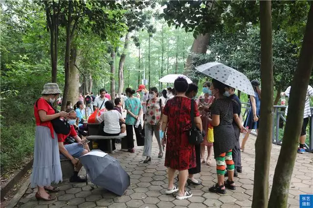 北京哪個公園有相親活動，北京菖蒲河公園相親