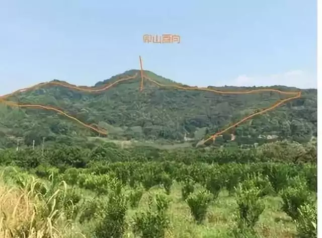 九運對什麼命人好，離火九運對喜火的人