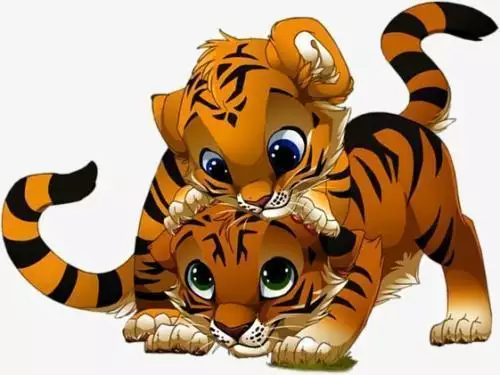 4年虎一生有几次桃花运,86年虎男一生婚姻状况"