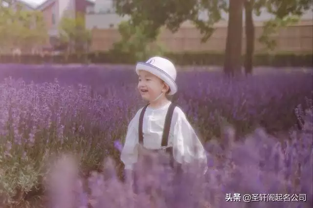 990年屬馬取名字男孩，屬馬男孩最吉利的小名"